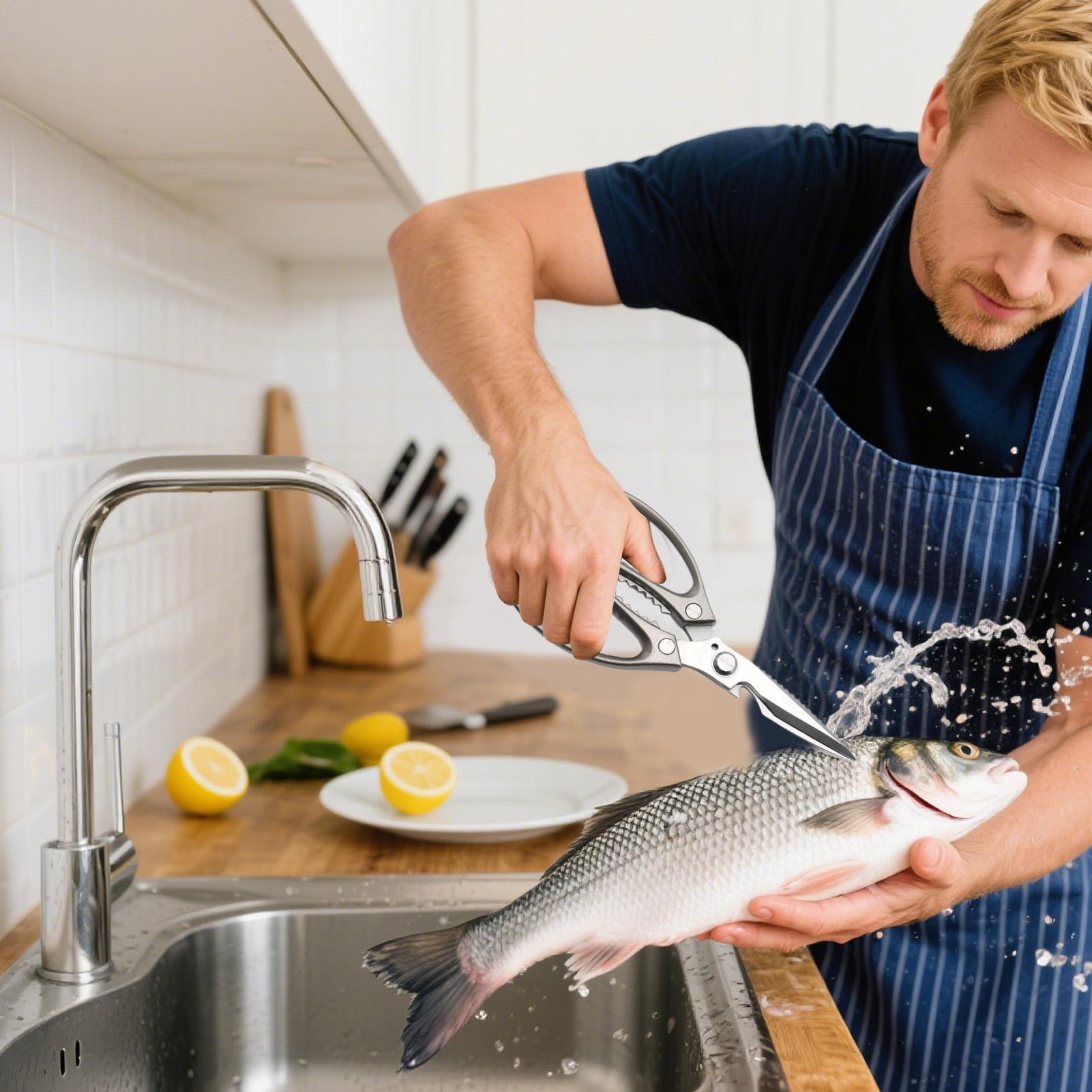 Heavy Equipment Kitchen - Gunting Dapur Tahan Lama dari Baja